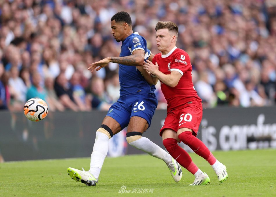 使葡萄牙队 使葡萄牙队